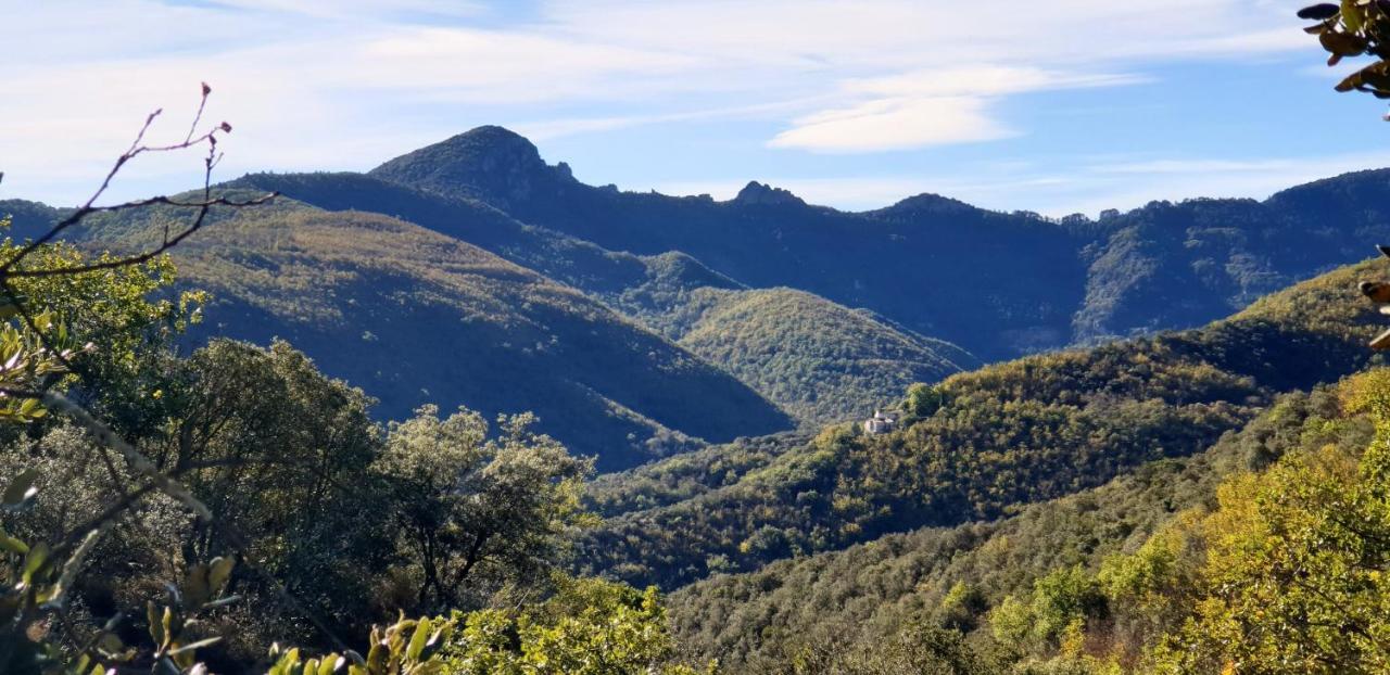 Villa Les Oliviers Maison D'Hotes Saint-Laurent-le-Minier Εξωτερικό φωτογραφία